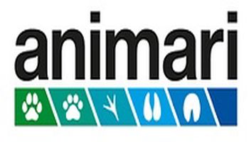 Animari
